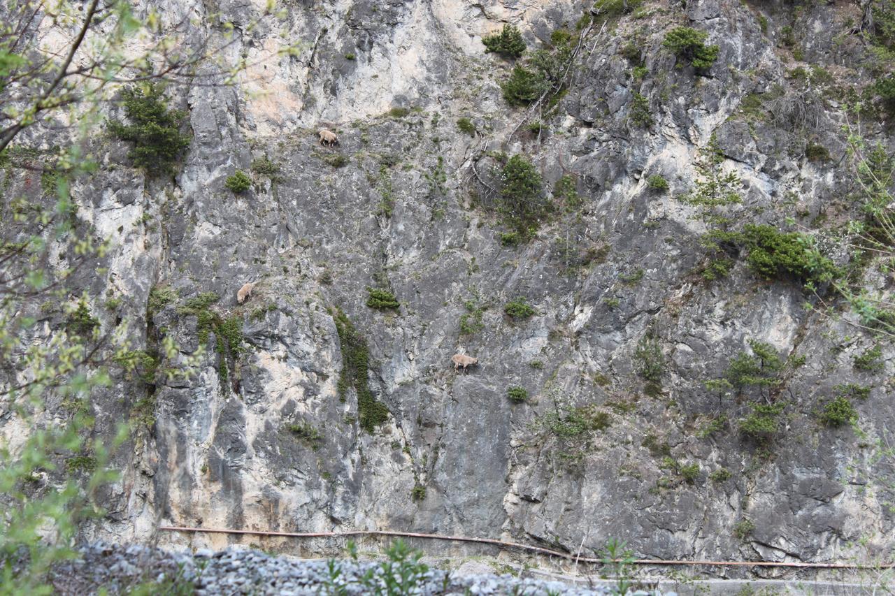 Apartmán Al Bait De Gio Bormio Exteriér fotografie